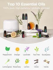 Lavender essential oil bottle (10ml)