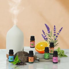 Assorted essential oil bottles from the set including Eucalyptus, Lemongrass and Orange
