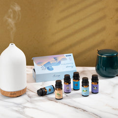 Packaging of Essential Oils Set Top 6 with product label