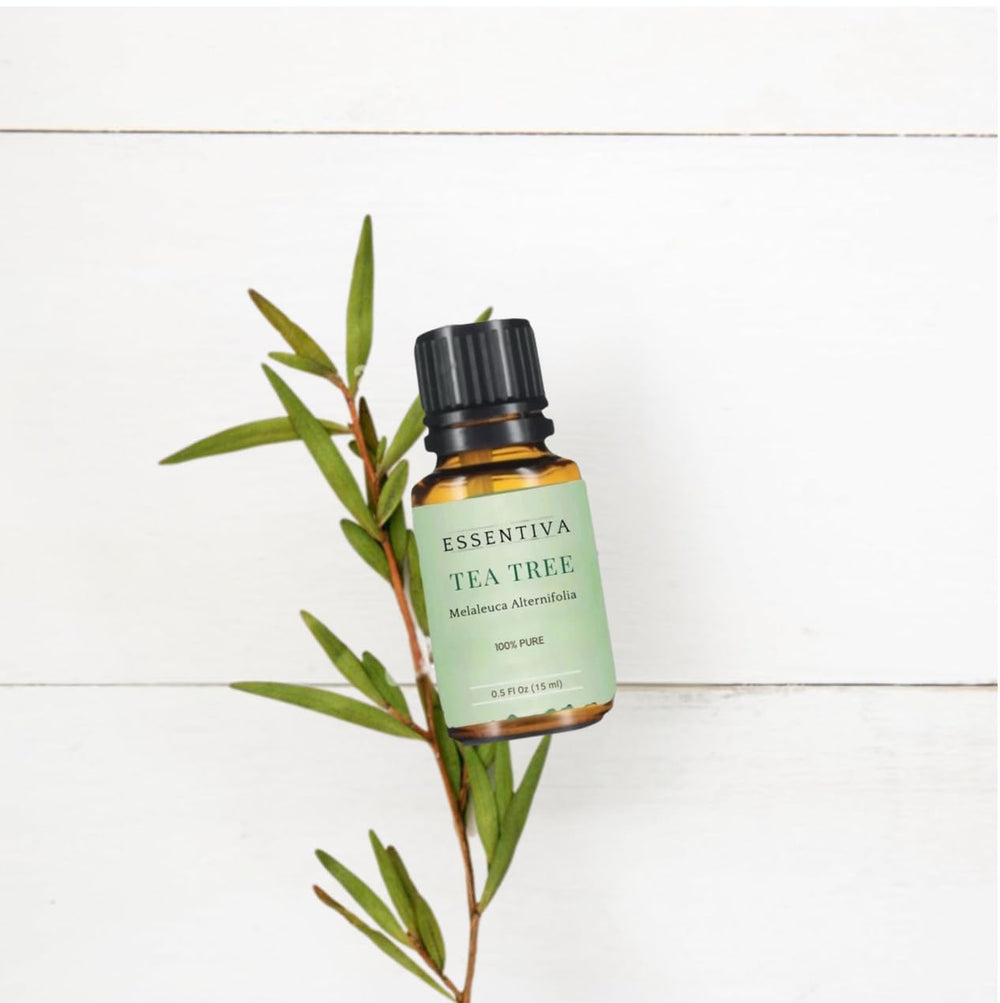 Essentiva Tea Tree Oil leaves and bottle convey a natural, fresh aroma routine.