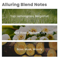 W Hotel-inspired fragrance oil for diffusers – 30ml