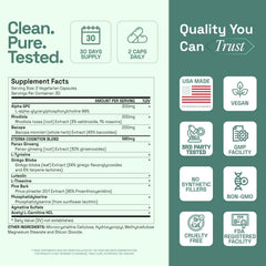 Brain health concept with antioxidants Pine Bark Extract and Luteolin
