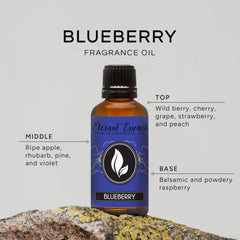 Close-up of Eternal Essence Oils Blueberry fragrance oil label