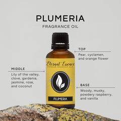 Eternal Essence Oils Plumeria 30ml bottle with label.