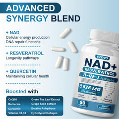 NAD+, Resveratrol, Quercetin, and Curcumin ingredients visual