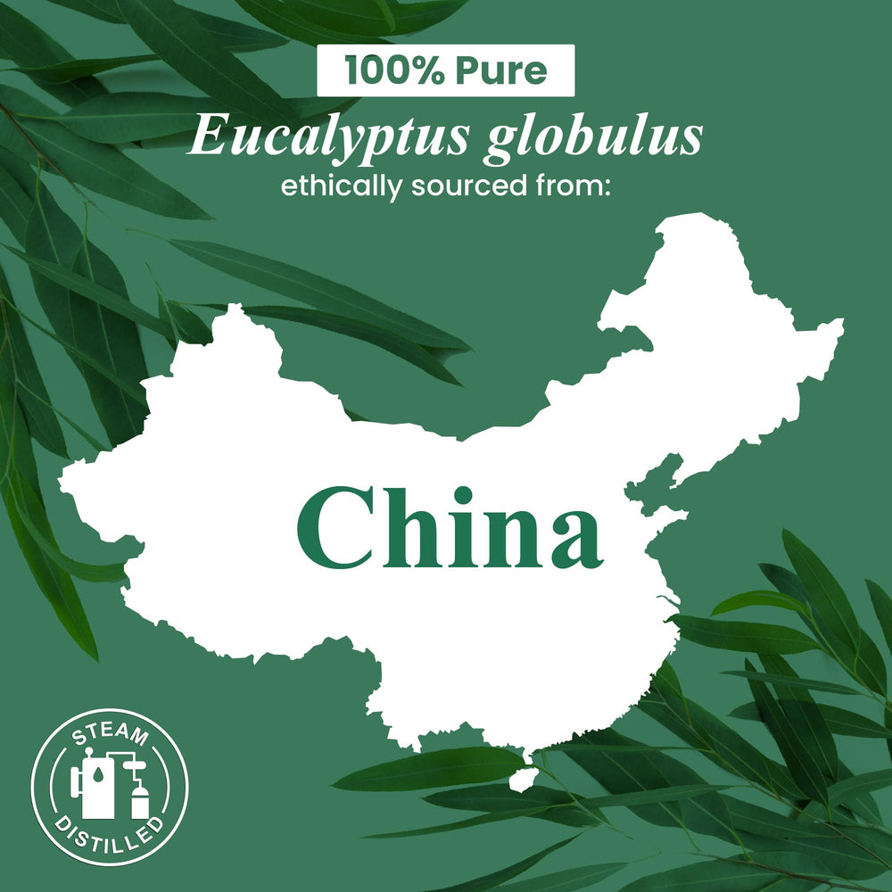 Eucalyptus oil for skincare and massage