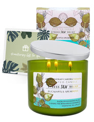 Scent notes featuring peppermint, rosemary, and star anise