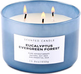 Front view of Eucalyptus Evergreen Forest 3-Wick Soy Candle in deep blue jar