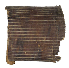 Eucommia ulmoides bark highlighting bone health and vitality benefits