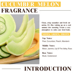 Diffuser using EUQEE Cucumber Melon fragrance oil