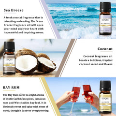 Fragrance oils in amber glass bottles with European-style droppers