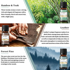 Cedarwood fragrance oil - 10ml amber bottle (EUQEE)