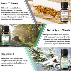 Leather fragrance oil - 10ml amber bottle (EUQEE)