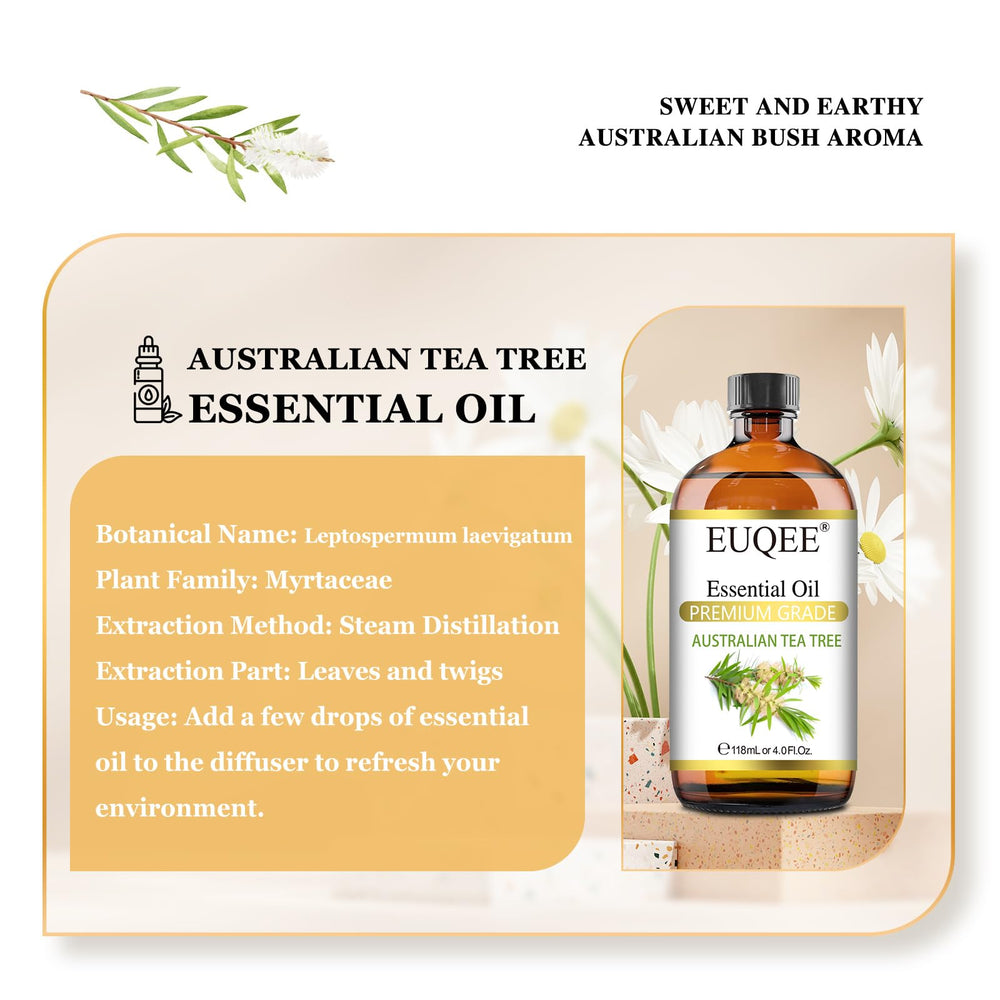 Diffuser setup with EUQEE Tea Tree Oil for aromatherapy