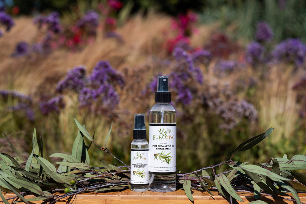 Steam room spray with eucalyptus aroma