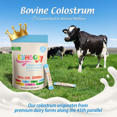 Collagen types I, II & III with hyaluronic acid for skin and joints