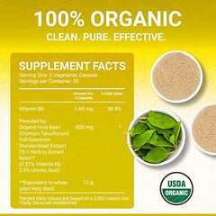 GMP-certified manufacturing facility producing Holy Basil capsules