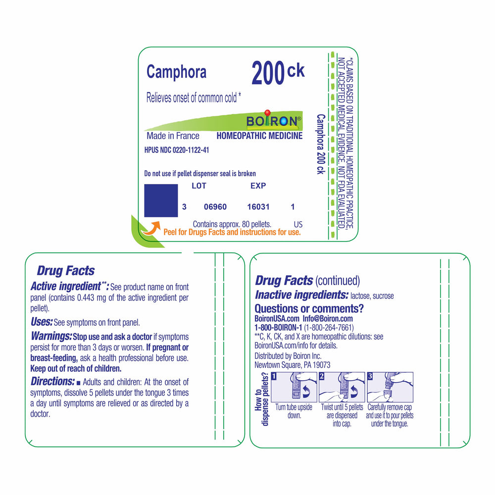 Family-friendly Boiron Camphora 200ck packaging on white background.