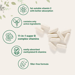 Fat-soluble vitamin C included in the formula (ascorbyl palmitate and ascorbic acid)