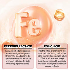 Feeding guide showing dosage for cats