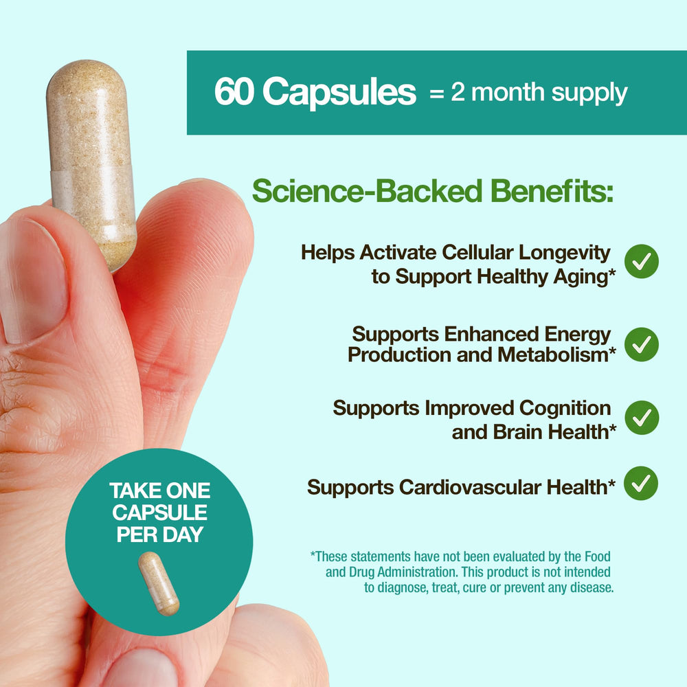 Ginger illustration indicating digestion support for the NAD+ supplement.