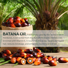 FEIBTH Batana Oil scalp massage highlights soothing application for renewed hair vitality