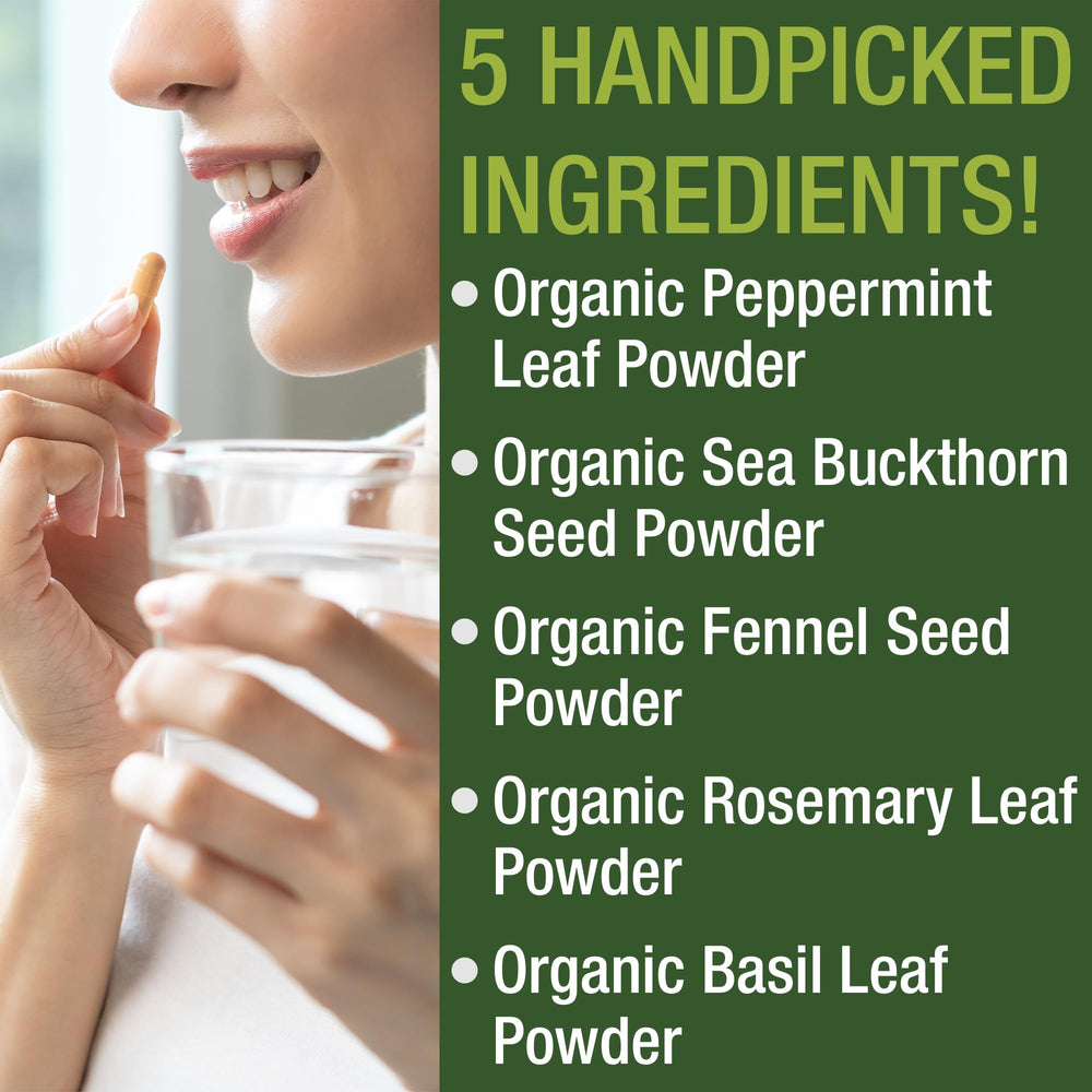 Fennel seed powder for digestive support in IBS capsules