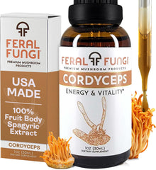 1 oz bottle of Feral Fungi Cordyceps tincture