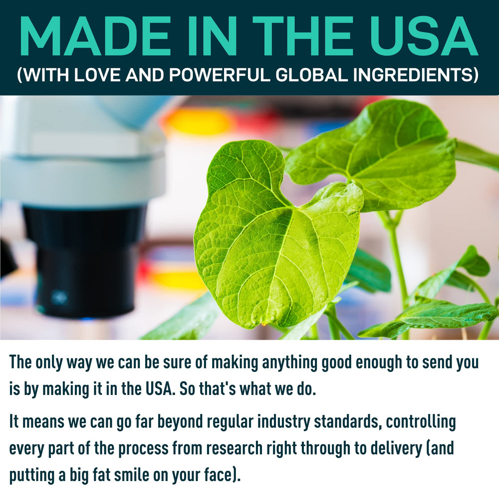 USA GMP facility certification icon