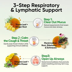 Lung health concept with clear air imagery