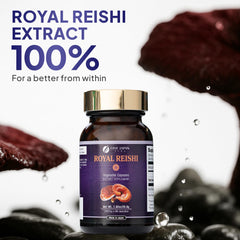 Digestive health concept with Reishi capsules