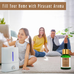 Diffuser with warm fireplace scent using MitFlor oil