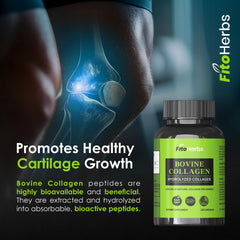 Back of label showing 120 capsules count