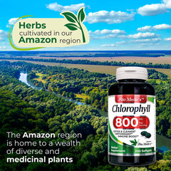 Pack of 2 FITO MEDIC'S Lab Chlorophyll Bottles
