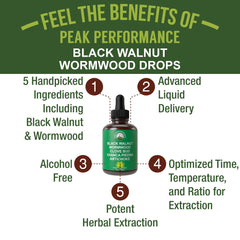Visual of five cleansing ingredients: Black Walnut Hull, Wormwood, Clove, Artichoke, Chanca Piedra