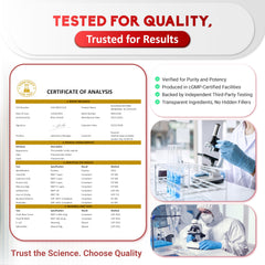 Graphic illustrating 5X absorption of dihydroberberine