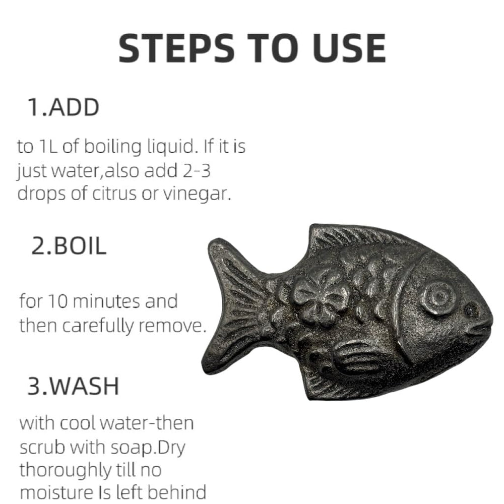 Illustration of the 5-year lifespan of The Iron Fish