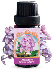 Flora Aromatics Lilac Absolute Oil bottle for diffusion and mood enhancement