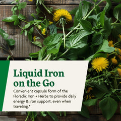 Floradix ingredients image highlighting botanical blend and herb extracts.