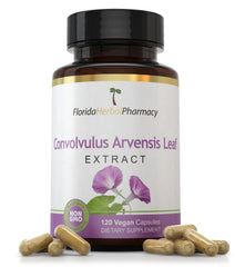 Convolvulus arvensis leaf extract capsules 10:1, 500 mg extract per capsule, 1000 mg serving – Florida Herbal Pharmacy