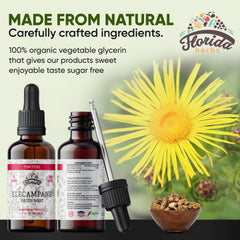 Elecampane tincture in glass bottle with dropper