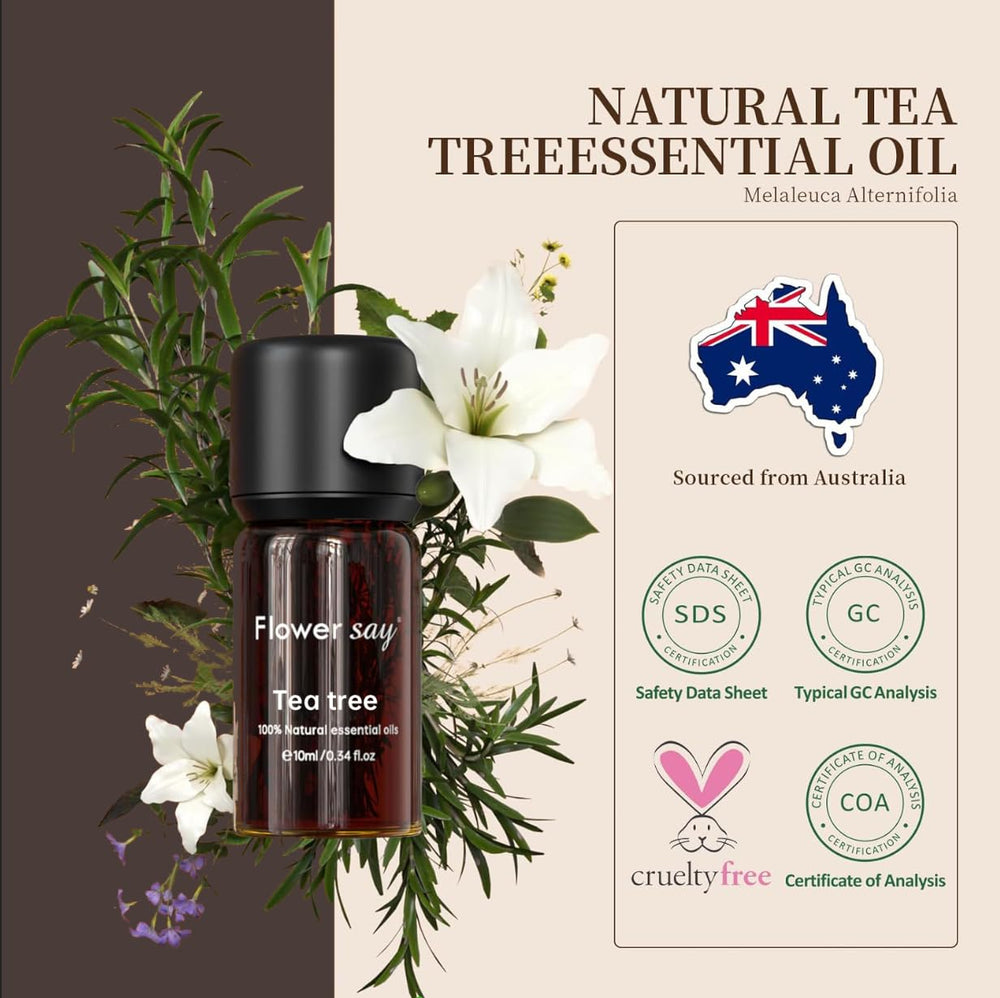 Australian Melaleuca alternifolia leaves used for distillation