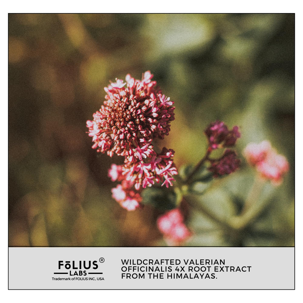Packaging side view of FOLIUS LABS valerian root product