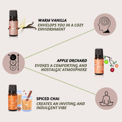 Six-pack display of Folkulture fall diffuser oils