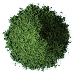 Chlorella powder being measured with a teaspoon