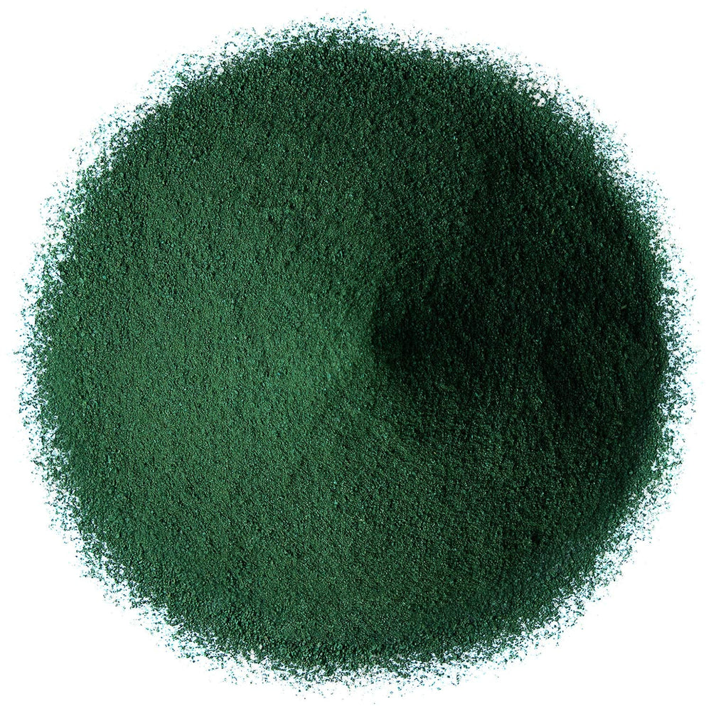 Scoop of spirulina powder in a measuring spoon