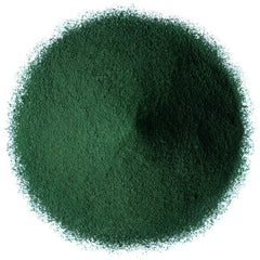 Scoop of spirulina powder in a measuring spoon