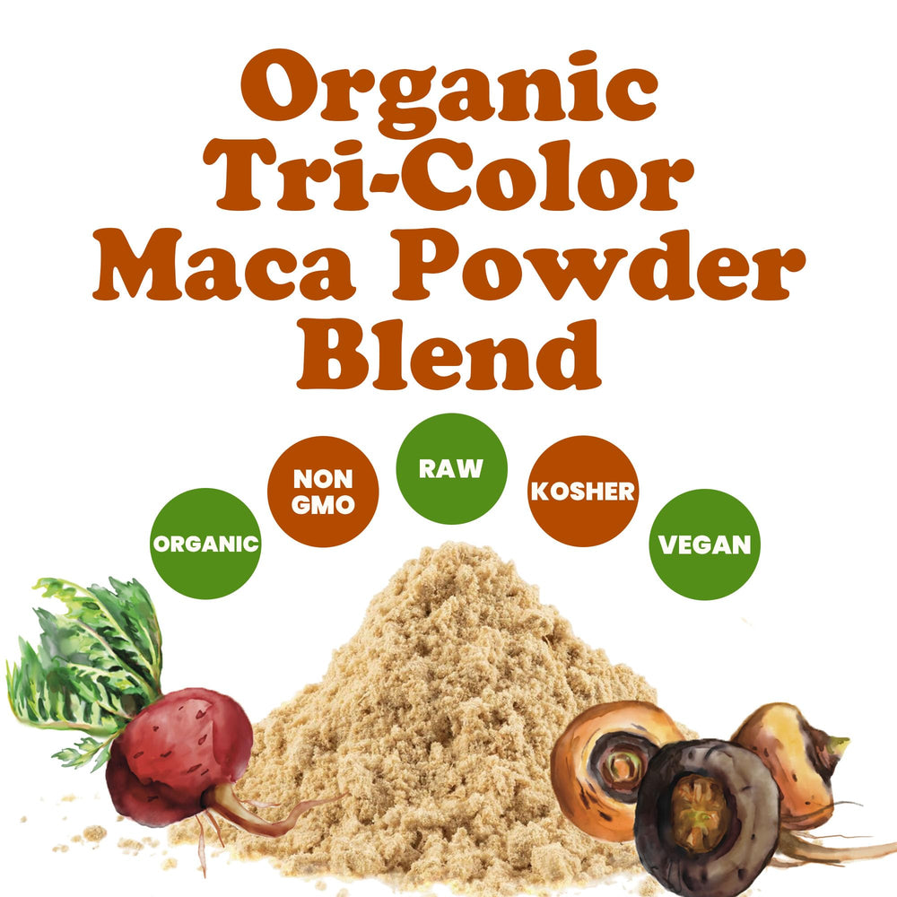 Fine-textured maca powder suitable for baking and smoothies