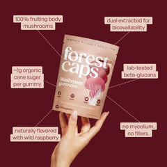 Reishi extract imagery for gummies