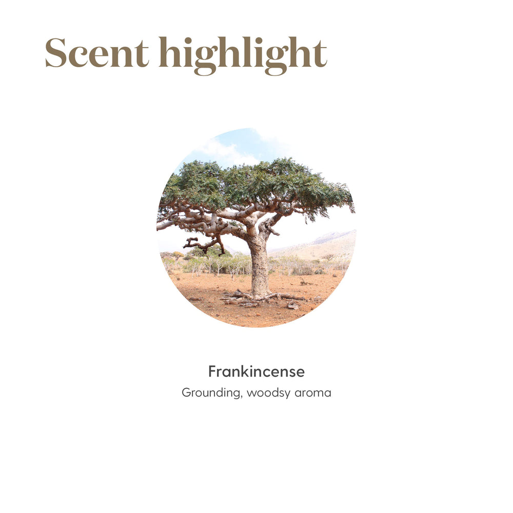 Aromatherapy diffuser setup with Frankincense